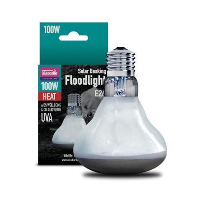 White Light Heat/UVB Bulbs